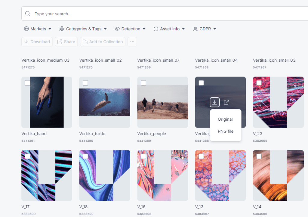 Single-asset-download-1024x721.png
