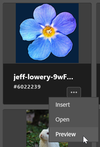 f03a0610-d3a8-421b-81ef-377fa4fde881.png