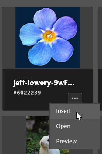 77e2d8bd-2e86-4404-a17a-c73ad0b37118.png