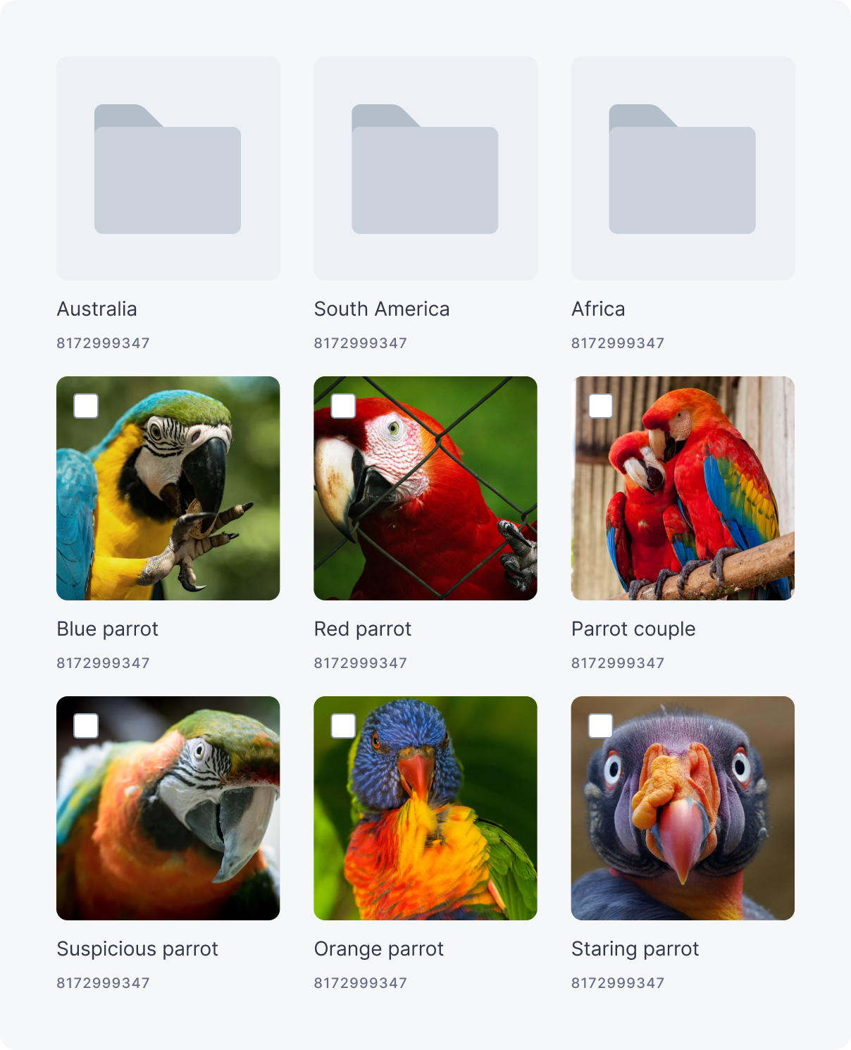 Folders 1.png