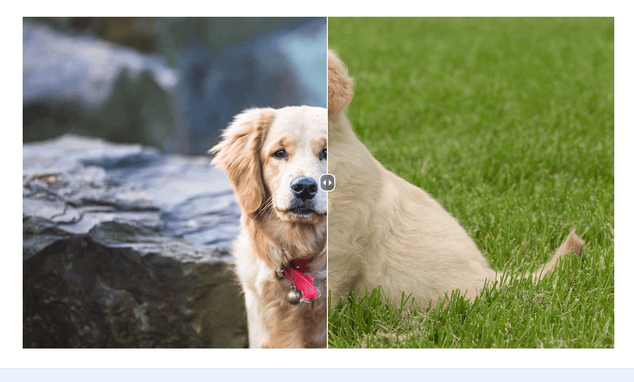 COmparison slider.gif