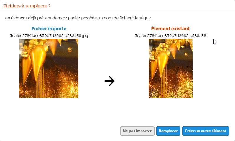 Diff_rences_entre_d_tection_de_doublons___l_import_et_module_de_recherche_1.png