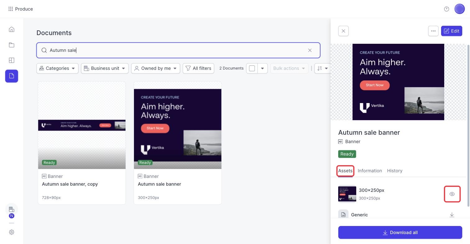 The Assets tab of a document, with the eye icon that opens the preview