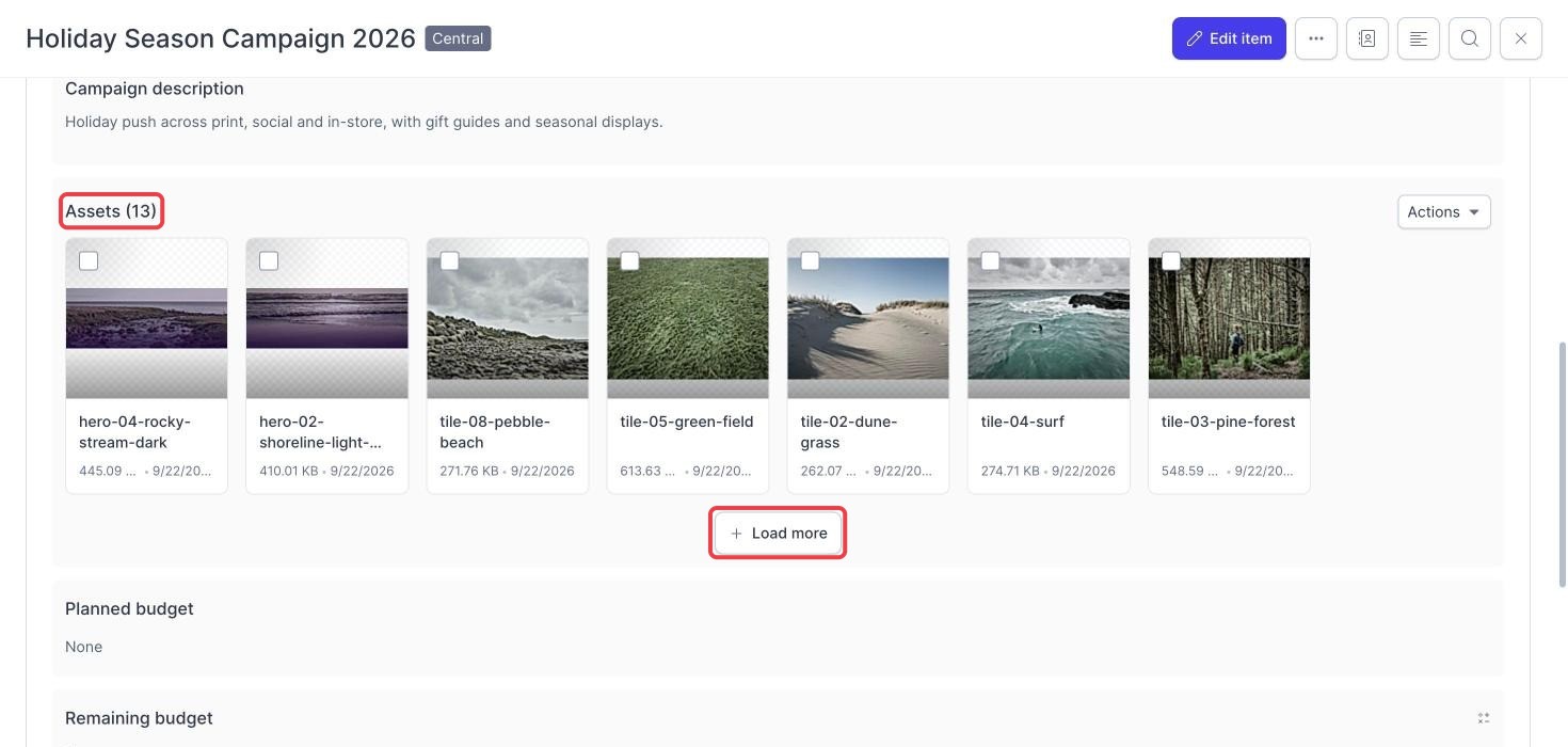 Campaign Planner campaign assets section with the asset count and Load more highlighted