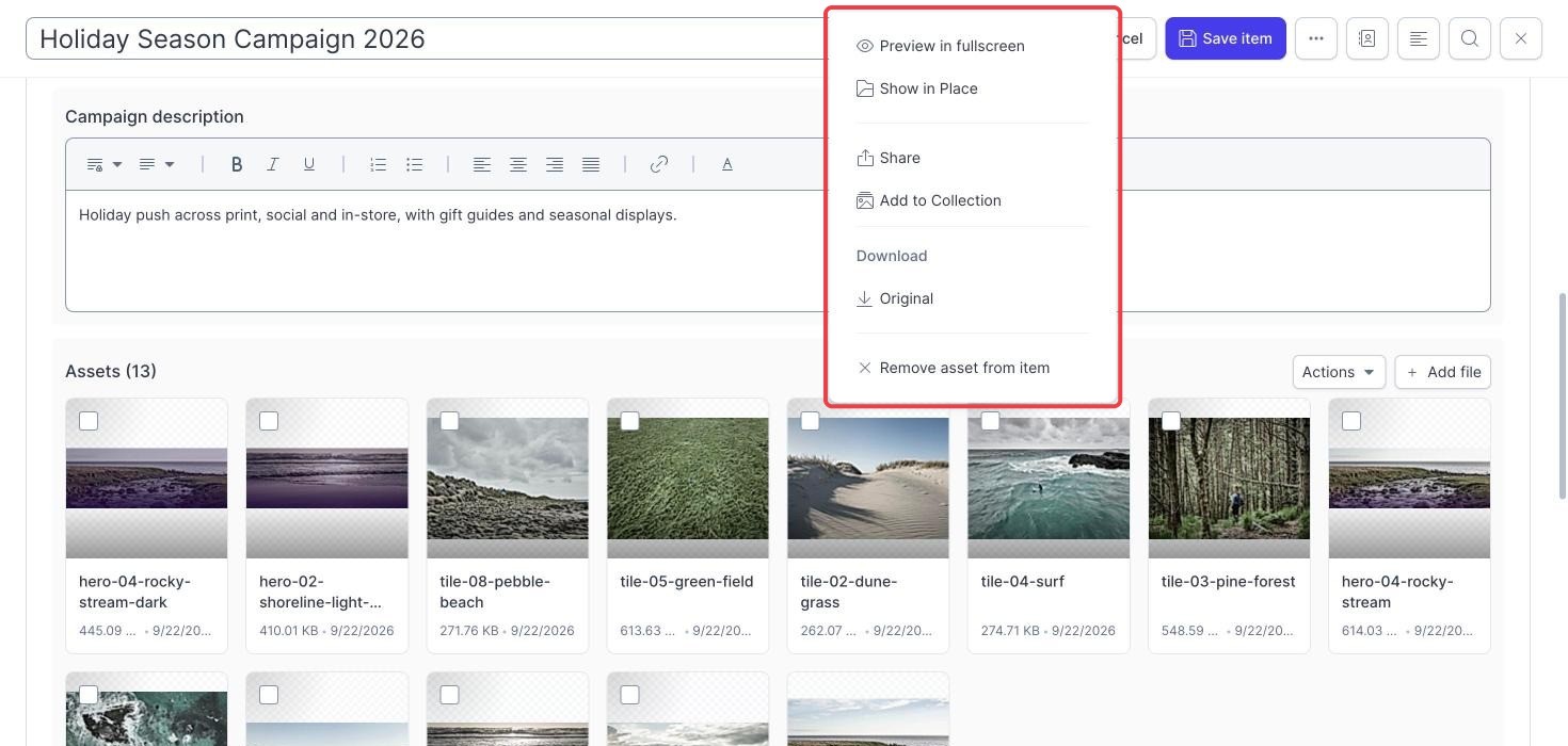 Campaign Planner campaign asset card menu with preview, Show in Place, Share, Add to Collection, Download and Remove asset from item highlighted